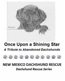 Once Upon a Shining Star (eBook, ePUB) Once Upon a Shining Star (eBook, ePUB)