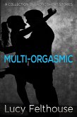 Multi-Orgasmic: A Collection of Erotic Short Stories (eBook, ePUB)