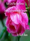 Rich Girls Play Hard: Getting Deflowered by the Gardener (eBook, ePUB)