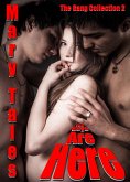 The Boys Are Here (Mary Tales erotic story collections, #9) (eBook, ePUB)