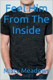 Feel Him From The Inside (Gay Romance, First Time) (eBook, ePUB)