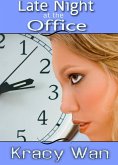 Late Night at the Office (eBook, ePUB)