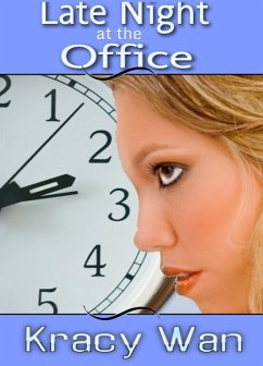 Cover Late Night at the Office (eBook, ePUB)