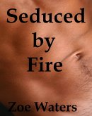 Seduced by Fire (eBook, ePUB)