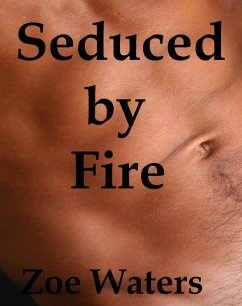 Cover Seduced by Fire (eBook, ePUB)