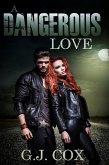 A Dangerous Love (eBook, ePUB)