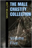 The Male Chastity Collection: Volume Five (Femdom, Chastity) (eBook, ePUB)