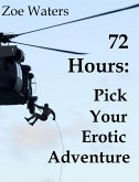 72 Hours: Pick Your Erotic Adventure (eBook, ePUB)