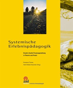 Systemische Erlebnispädagogik (eBook, ePUB)