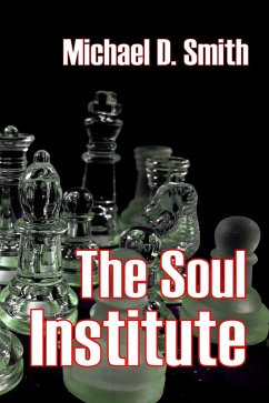Cover The Soul Institute (eBook, ePUB)