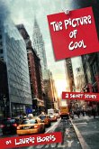 The Picture of Cool (eBook, ePUB)
