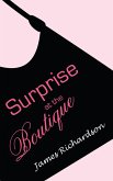 Surprise at the Boutique (eBook, ePUB) Surprise at the Boutique (eBook, ePUB)