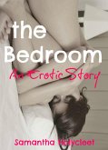 The Bedroom: An Erotic Story (eBook, ePUB)