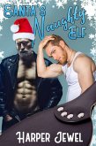 Santa's Naughty Elf (eBook, ePUB)