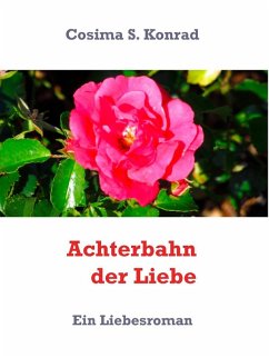 Achterbahn der Liebe (eBook, ePUB)