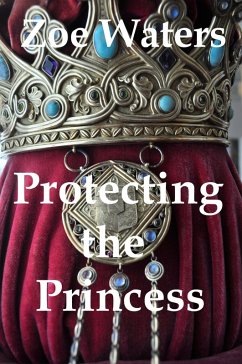 Cover Protecting the Princess (eBook, ePUB)