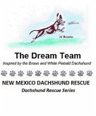 The Dream Team (eBook, ePUB)