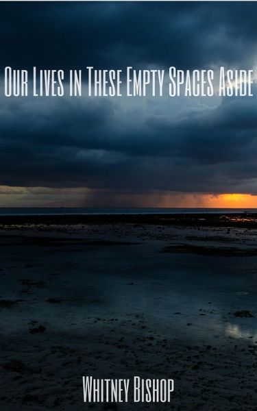 Our Lives in These Empty Spaces Aside (eBook, ePUB)