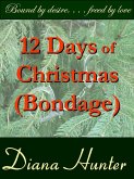 12 Days of Christmas Bondage (eBook, ePUB)