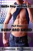 Bump and Grind (Go-Go Boys of Club 21, #1) (eBook, ePUB)
