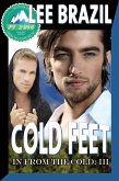 Cold Feet (In From the Cold #3) (eBook, ePUB)