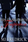 His Dangerous Temptation (eBook, ePUB)