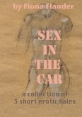 Sex in the Car: a collection of 3 short erotic tales (eBook, ePUB)