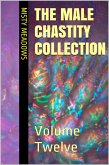 The Male Chastity Collection: Volume Twelve (eBook, ePUB) The Male Chastity Collection: Volume Twelve (eBook, ePUB)