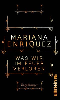 Was wir im Feuer verloren (eBook, ePUB) - Enríquez, Mariana