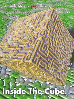 Cover Inside The Cube (eBook, ePUB)
