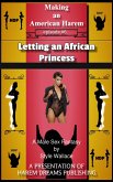 Making an American Harem-Episode #6: Letting an African Princess (eBook, ePUB)