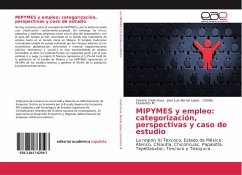 MIPYMES y empleo: categorización, perspectivas y caso de estudio