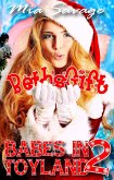Babes in Toyland 2: Beth's Gift (eBook, ePUB)