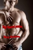 High-Powered Passion (eBook, ePUB)