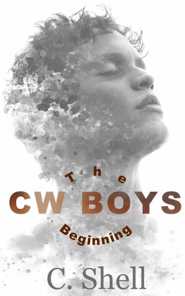 CW Boys: The Beginning (eBook, ePUB)