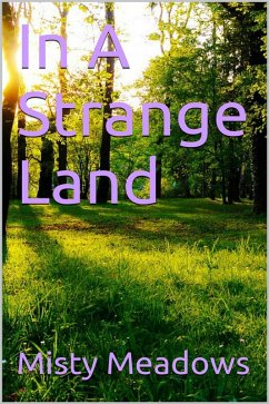 Cover In A Strange Land (Public Sex, Multiple Men) (eBook, ePUB)