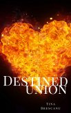 Destined Union (eBook, ePUB)