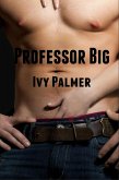 Professor Big (eBook, ePUB)