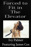 Forced To Fit In The Elevator (eBook, ePUB)
