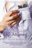 Souls ReAligned: Book 2 of the Bound4Ireland Series (eBook, ePUB)