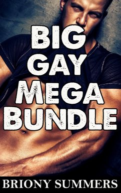Cover Big Gay Mega Bundle (eBook, ePUB)