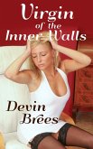 Virgin of the Inner Walls (eBook, ePUB)