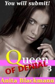 Queen of Denial 3 (eBook, ePUB)