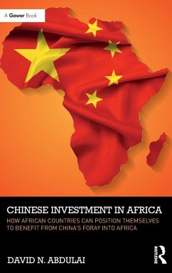 Chinese Investment in Africa - Abdulai, David N