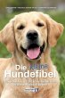 Die kleine Hundefibel - Bild 1