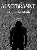 Ausgebrannt (eBook, ePUB)