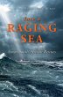 Into a Raging Sea (eBook, ePUB) - Bild 1