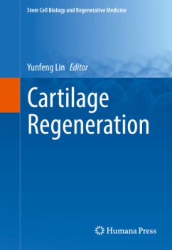 Cartilage Regeneration