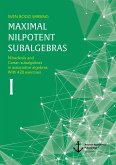 Maximal nilpotent subalgebras I: Nilradicals and Cartan subalgebras in associative algebras. With 428 exercises