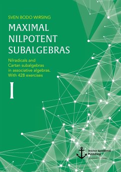 Maximal nilpotent subalgebras I: Nilradicals and Cartan subalgebras in associative algebras. With 428 exercises - Wirsing, Sven Bodo